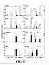 Fig. 09 - Effectors of innate immunity
