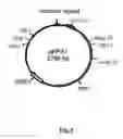 Fig. 02 - system and uses thereof