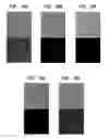 Fig. 10 - system and uses thereof