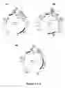 Fig. 10 - chimeric outer membrane protein PlpE and leukotoxin epitopes as a vaccine or vaccine component against shipping fever