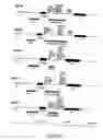 Fig. 12 - chimeric outer membrane protein PlpE and leukotoxin epitopes as a vaccine or vaccine component against shipping fever