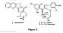 Fig. 02 - Methods for inhibiting fungal pathogen infestation and propogation