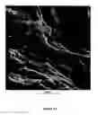 Fig. 11 - Composite biomaterials comprising calcium phospate materials, collagen and glycosaminoglycans