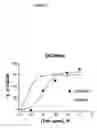 Fig. 06 - Methods for reducing intimal hyperplasia, smooth muscle cell proliferation and restenosis in mammals