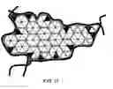Fig. 06 - Polymer particles for delivery of macromolecules and methods of use