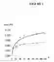Fig. 02 - POLYPEPTIDES WITH THE CAPACITY TO ENTRAP DRUGS AND RELEASE THEM IN A CONTROLLED WAY