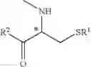 Fig. 04 - POLYPEPTIDES WITH THE CAPACITY TO ENTRAP DRUGS AND RELEASE THEM IN A CONTROLLED WAY