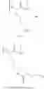 Fig. 08 - POLYPEPTIDES WITH THE CAPACITY TO ENTRAP DRUGS AND RELEASE THEM IN A CONTROLLED WAY