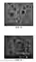 Fig. 03 - Method for improving the properties of amphiphile particles
