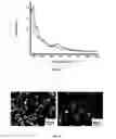 Fig. 04 - Methods for producing nanoparticulate metal complexes and altering nanoparticle morphology