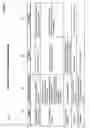 Fig. 12 - Bone semi-permeable device
