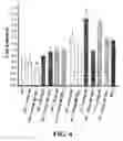 Fig. 06 - PHYTOESTROGENIC COMPOSITION COMPRISING AN EXTRACT OF CHINESE LICORICE ROOT, ISOLIQUIRITIN OR LIQUIRITIN