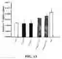 Fig. 14 - PHYTOESTROGENIC COMPOSITION COMPRISING AN EXTRACT OF CHINESE LICORICE ROOT, ISOLIQUIRITIN OR LIQUIRITIN