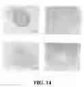 Fig. 15 - PHYTOESTROGENIC COMPOSITION COMPRISING AN EXTRACT OF CHINESE LICORICE ROOT, ISOLIQUIRITIN OR LIQUIRITIN
