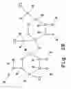 Fig. 04 - Method of manufacturing particulate ice cream for storage in conventional freezers
