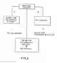 Fig. 04 - Process for extracting cocoa polyphenols from cocoa beans