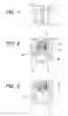 Fig. 04 - Method of manufacturing organic light emitting device and vapor deposition system
