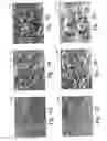 Fig. 04 - Cleaning method used in removing contaminants from the surface of an oxide or fluoride comprising a group III B metal