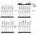 Fig. 01 - Methods for modifying surfaces