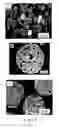Fig. 07 - Methods of making duplex coating and bulk materials