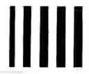 Fig. 01 - Micropattern retardation element