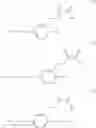 Fig. 06 - Lateral α-substituted acrylate compound and polymer thereof