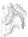 Fig. 07 - Multi Directional Fibers In A Shell
