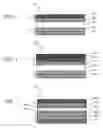 Fig. 06 - Guarded cover sheet for LCD polarizers and method of making the same