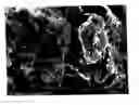 Fig. 01 - Carbon nanotube-dispersed composite material, method for producing same and article same is applied to