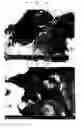 Fig. 04 - Carbon nanotube-dispersed composite material, method for producing same and article same is applied to