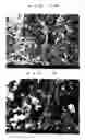 Fig. 06 - Carbon nanotube-dispersed composite material, method for producing same and article same is applied to