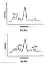 Fig. 05 - Coatings and a method of optically detecting corrosion in coatings