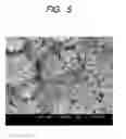 Fig. 06 - HYDROPHOBIC CATALYST LAYER FOR POLYMER ELECTROLYTE FUEL CELL AND METHOD OF PRODUCING THE SAME, AND POLYMER ELECTROLYTE FUEL CELL AND METHOD OF PRODUCING THE SAME