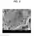 Fig. 07 - HYDROPHOBIC CATALYST LAYER FOR POLYMER ELECTROLYTE FUEL CELL AND METHOD OF PRODUCING THE SAME, AND POLYMER ELECTROLYTE FUEL CELL AND METHOD OF PRODUCING THE SAME