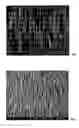 Fig. 01 - Coated carbon nanotube array electrodes