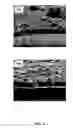 Fig. 05 - Coated carbon nanotube array electrodes