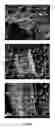 Fig. 06 - Coated carbon nanotube array electrodes