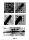 Fig. 07 - Coated carbon nanotube array electrodes