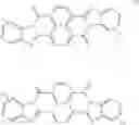 Fig. 08 - Photoconductive members