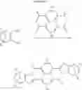 Fig. 09 - Photoconductive members