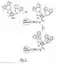 Fig. 04 - Affinity-based enrichment of phosphorylated peptides and/or proteins