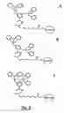 Fig. 07 - Affinity-based enrichment of phosphorylated peptides and/or proteins