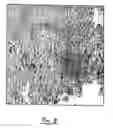 Fig. 09 - Affinity-based enrichment of phosphorylated peptides and/or proteins