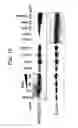 Fig. 16 - Methods for treating lentivirus infections