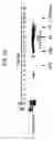 Fig. 22 - Methods for treating lentivirus infections