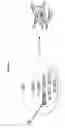 Fig. 07 - Microrna-related nucleic acids and uses thereof