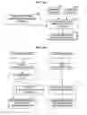 Fig. 14 - Microrna-related nucleic acids and uses thereof