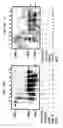 Fig. 30 - Microrna-related nucleic acids and uses thereof