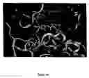 Fig. 07 - Structural interaction fingerprint