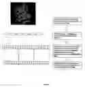 Fig. 11 - Structural interaction fingerprint